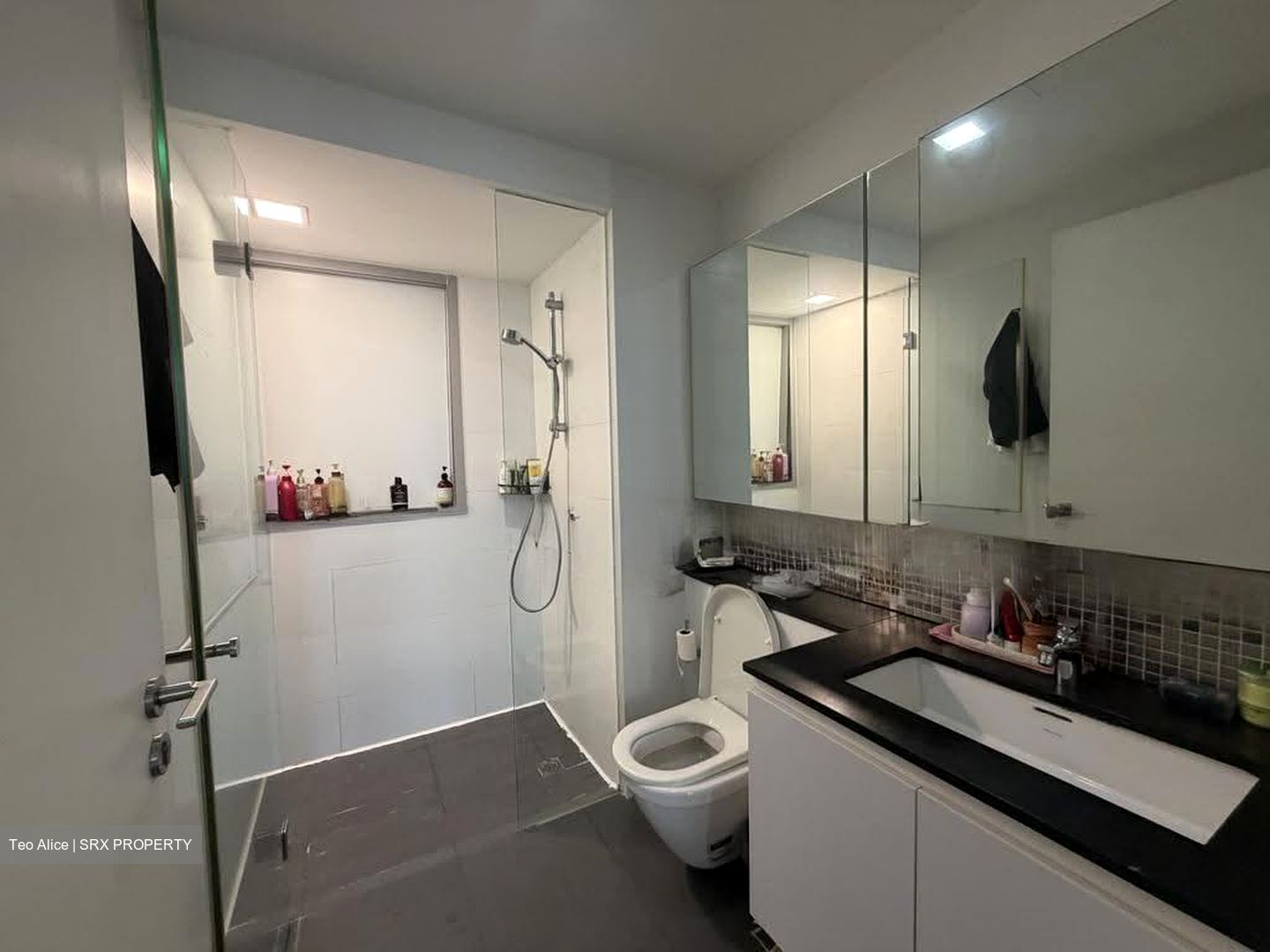 Carissa Park Condominium (D17), Condominium #628496151